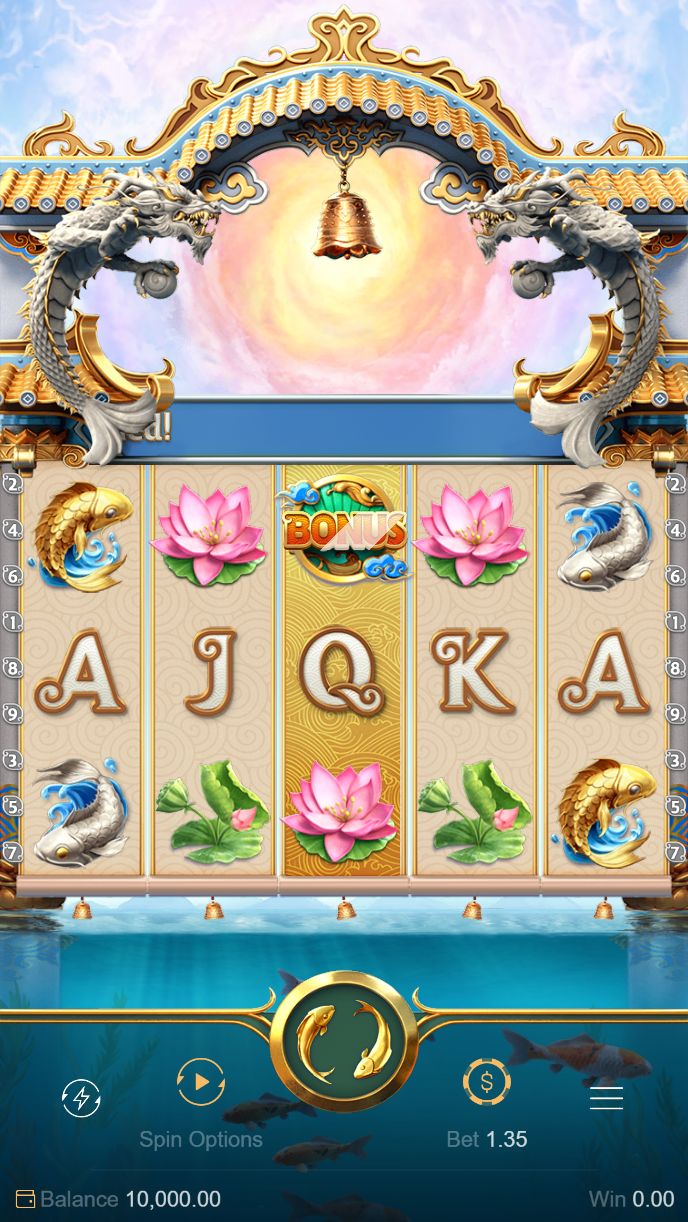 Tortuga Casino game